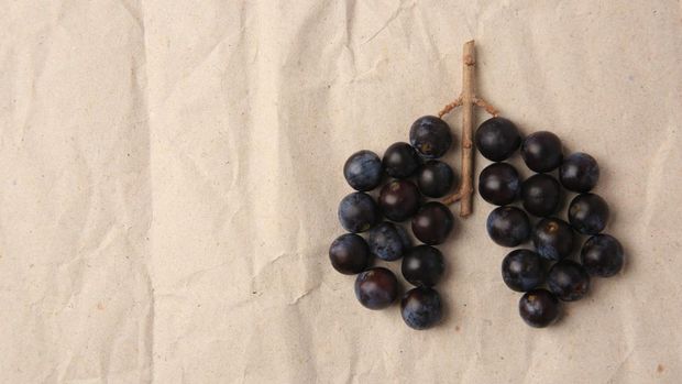 1908688123 Human lungs made of plums on crumpled kraft paper, flat lay. Space for text