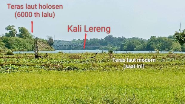 Di sepanjang pesisir selatan Jawa, dari Kebumen hingga Purworejo, terbentang benteng alami yang terbentuk ribuan tahun lalu. (BRIN)