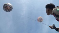 Peserta festival tampak antusias menerbangkan balon-balon mereka, menciptakan panorama langit yang penuh warna. Warga dan wisatawan pun menikmati pengalaman edukatif sekaligus rekreasi yang menarik. ANTARA FOTO/Destyan Sujarwoko