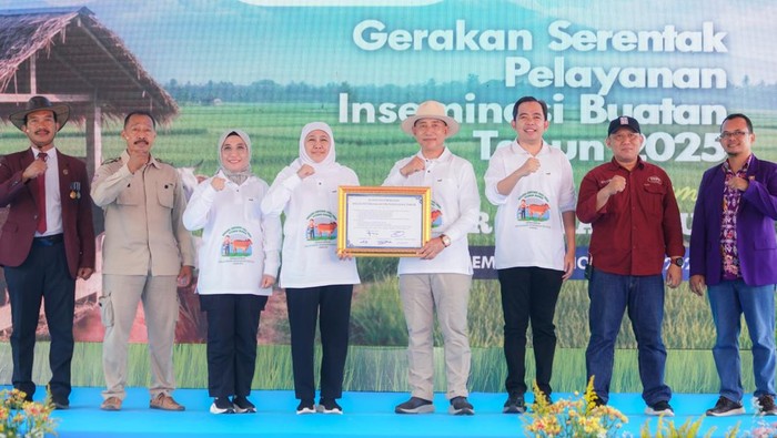 Jatim Pecahkan Rekor MURI, 1,09 Juta Sapi Diinseminasi Sepanjang 2025