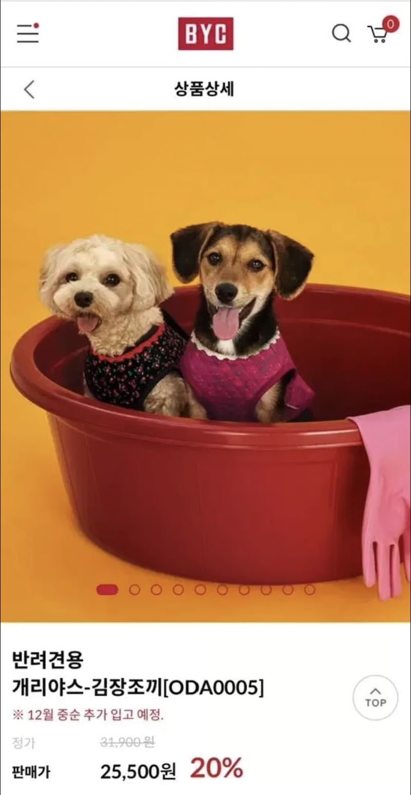 Kimjang vest khusus anabul Imbas viralnya item fashion kimjang vest, brand lokal Korea Selatan berkolaborasi untuk membuat produk khusus anabul.