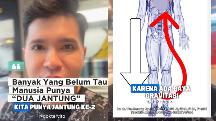 Viral di Medsos Manusia Ternyata Punya Jantung Kedua di Betis, Apa Maksudnya?