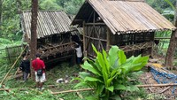 Selanjutnya, menyeberang sungai, lalu naik ke hutan bambu yang sangat asri dan rindang. Setelah keluar dari hutan bambu inilah sampai di rumah Karmin dan Simpen.