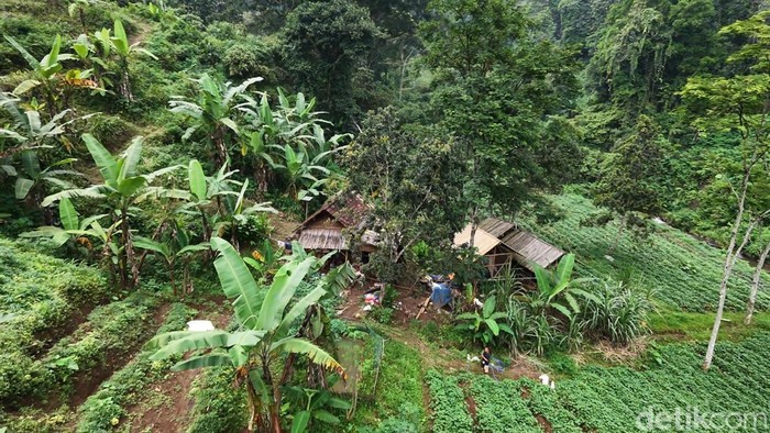 Menyambangi Rumah Pasutri Jurang di Mojokerto