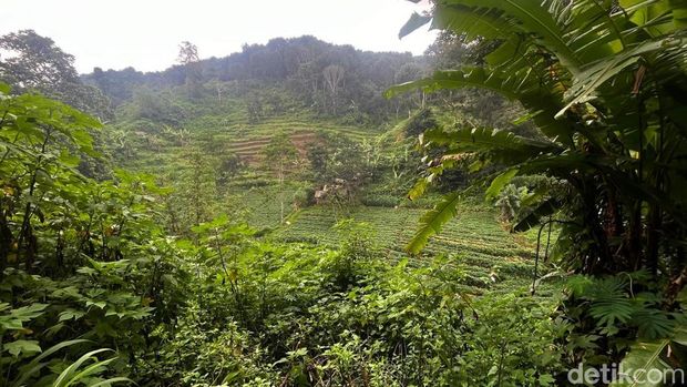 Pasutri yang 22 tahun hidup di dasar jurang Mojokerto Pasutri yang 22 tahun hidup di dasar jurang Mojokerto