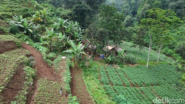 Pasutri yang 22 tahun hidup di dasar jurang Mojokerto