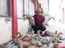 Cerita Wayim dan Sutiah di Balik Penyaluran Bantuan ATENSI di Indramayu