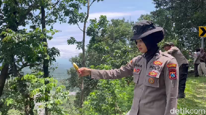 Polisi beri monyet di Semeru makan