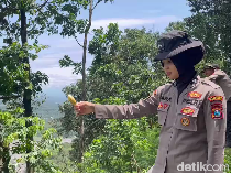 Monyet di Piket Nol Kelaparan, Polisi Datang Beri Umbi dan Buah