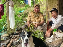 Sosok Pasutri yang 22 Tahun Hidup di Dasar Jurang Mojokerto