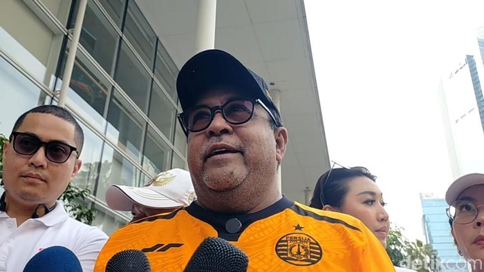 Wakil Gubernur DKI Jakarta Rano Karno. (Brigitta/detikcom)