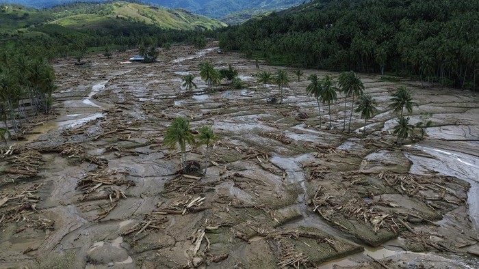 Banyak Kayu Gelondongan di Banjir Sumatera, Pakar UB: Indikasi Penebangan Hutan