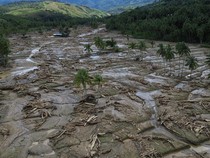 Banyak Kayu Gelondongan di Banjir Sumatera, Pakar UB: Indikasi Penebangan Hutan