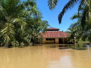 Penampakan Bantuan Logistik untuk Korban Bencana Sumatera Dikirim via Udara