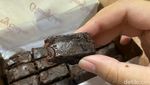 Viral di TikTok! Fudgy Brownies Ini Belinya Harus PO Seminggu