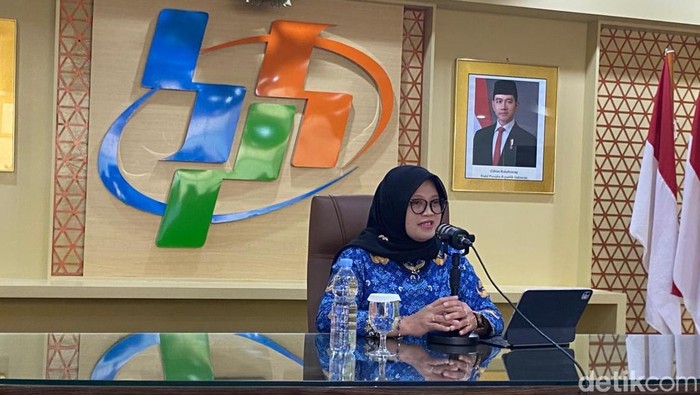 Deputi Bidang Statistik Distribusi dan Jasa BPS Pudji Ismartini