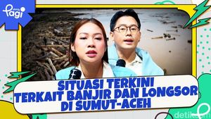 Video: Situasi Terkini Terkait Banjir dan Longsor di Sumut-Aceh