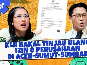 KLH Bakal Tinjau Ulang Izin 8 Perusahaan di Aceh-Sumut-Sumbar