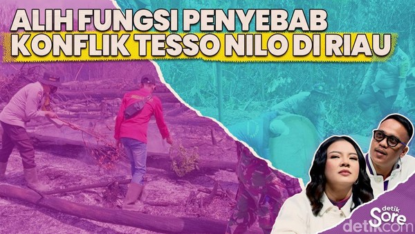 Video: Polemik Tesso Nillo, Habitat Taman Nasional Semakin Terancam 