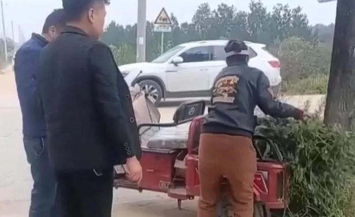 Hoaks Viral Bikin Kebun Cabai Dijarah Massa, Petani Auto Boncos!