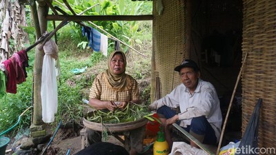 Melihat Kehidupan  Pasutri yang 22 Tahun Tinggal di Jurang Mojokerto