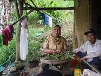 Melihat Kehidupan  Pasutri yang 22 Tahun Tinggal di Jurang Mojokerto