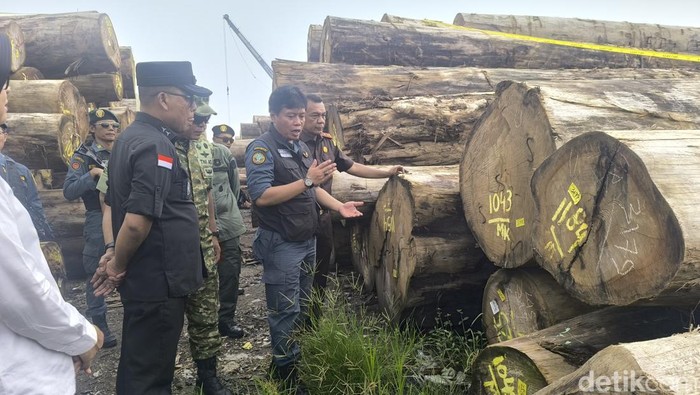 Kayu ilegal PT BRN yang sampai ke Gresik melalui jalur laut.