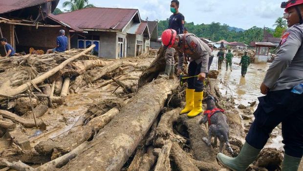 Personel Polri sedang mencari korban yang hilang dampak banjir bandang di Salareh Aia, Kecamatan Palembayan, Kabupaten Agam. ANTARA/Yusrizal. Personel Polri sedang mencari korban yang hilang dampak banjir bandang di Salareh Aia, Kecamatan Palembayan, Kabupaten Agam. ANTARA/Yusrizal.