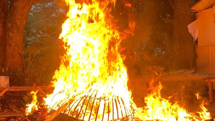 Petugas membongkar arena judi sabung ayam dan membakar fasilitas yang ada