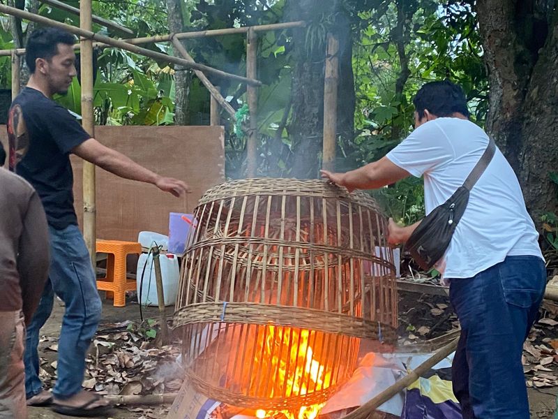 Petugas membongkar arena judi sabung ayam dan membakar fasilitas yang ada