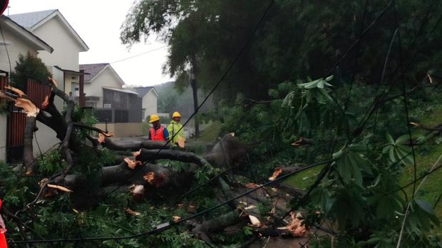 Atap rumah toko (ruko) ambruk dan pohon tumbang di Bogor, Jawa Barat (Jabar), usai diterjang hujan deras disertai angin kencang, Senin (1/12/2025).