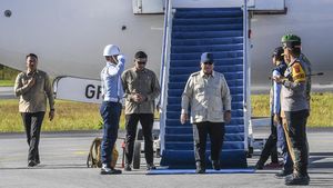 Potret Prabowo Tiba di Sumut, Tinjau Lokasi Terdampak Banjir-Longsor