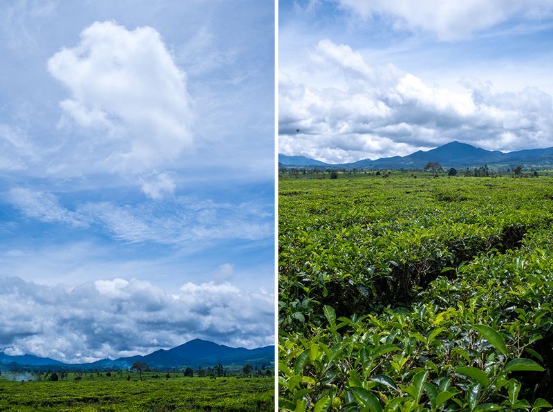 Review Lensa SG-Image 25mm f/1.8