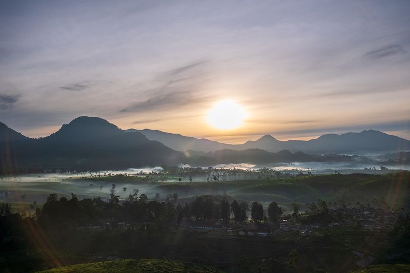 Review Lensa SG-Image 25mm f/1.8