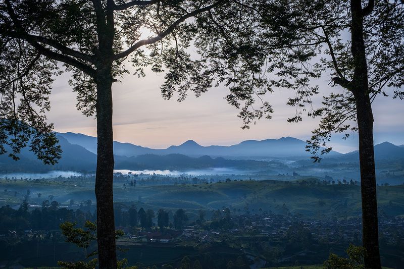 Review Lensa SG-Image 25mm f/1.8