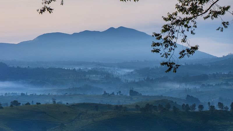 Review Lensa SG-Image 25mm f/1.8