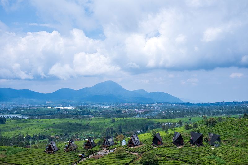 Review Lensa SG-Image 25mm f/1.8