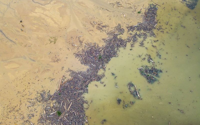 Foto udara sampah dari kayu gelondongan yang hanyut di danau Singkarak di Nagari Muaro Pingai, Kabupaten Solok, Sumatera Barat, Minggu (30/11/2025). Sampah kayu gelondongan tersebut menumpuk di sepanjang jalur banjir bandang beberapa hari terakhir.  ANTARA FOTO/Wawan Kurniawan/Lmo/nz