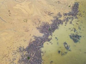Terbongkar Modus Illegal Logging, Diduga Jadi Penyebab Banjir di Sumatera