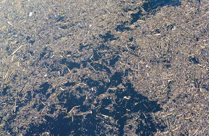 Foto udara sampah dari kayu gelondongan yang hanyut di danau Singkarak di Nagari Muaro Pingai, Kabupaten Solok, Sumatera Barat, Minggu (30/11/2025). Sampah kayu gelondongan tersebut menumpuk di sepanjang jalur banjir bandang beberapa hari terakhir.  ANTARA FOTO/Wawan Kurniawan/Lmo/nz