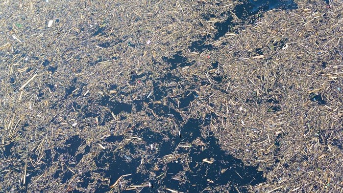 Foto udara sampah dari kayu gelondongan yang hanyut di danau Singkarak di Nagari Muaro Pingai, Kabupaten Solok, Sumatera Barat, Minggu (30/11/2025). Sampah kayu gelondongan tersebut menumpuk di sepanjang jalur banjir bandang beberapa hari terakhir.  ANTARA FOTO/Wawan Kurniawan/Lmo/nz