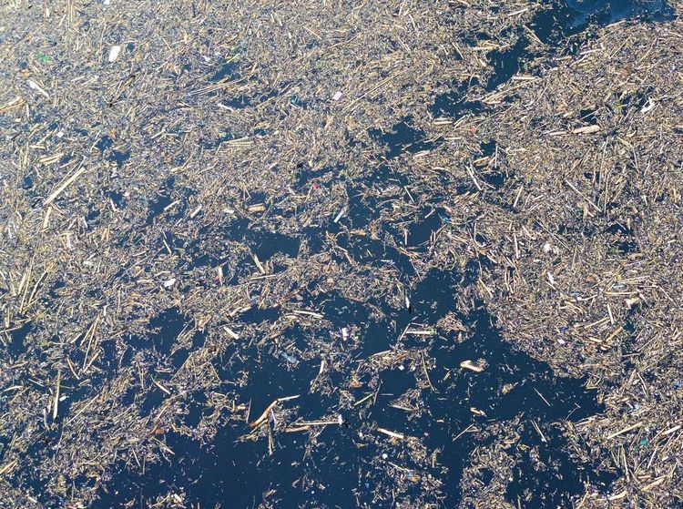 Foto Tumpukan Kayu Gelondongan di Pantai Padang dan Danau Singkarak