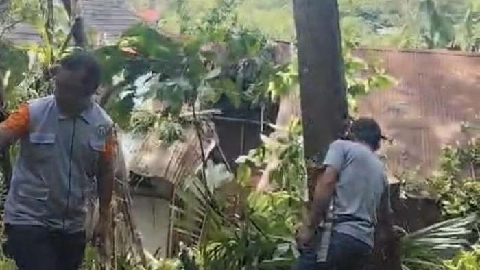 Hujan disertai angin kencang menyebabkan sebuah pohon tumbang dan menimpa rumah warga di Kabupaten Tana Toraja, Sulawesi Selatan (Sulsel).