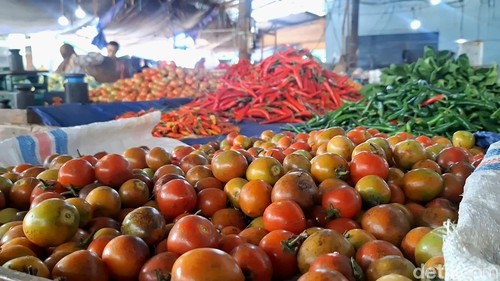 Salah seorang pembeli tengah memilih tomat segar di Pasar Mandalika, Bertais, Mandalika, Kota Mataram, beberapa waktu lalu.