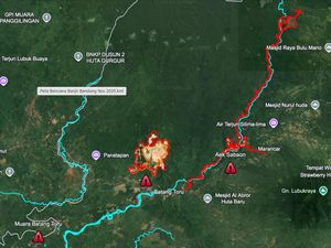 Citra Satelit Ungkap Deforestasi Parah di Sumatera Utara