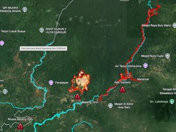 Video Citra Satelit Deforestasi di Sumut yang Diduga Sebabkan Bencana