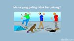 Teka-teki Logika Ini Bikin Otak Nge-lag Sesaat, Tapi Seru Buat Dicoba!