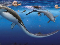 Wow! 300.000 Fosil Purba di Arktik Ungkap Rahasia Bumi Pasca Kepunahan Massal