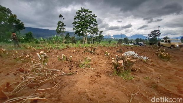Kondisi perkebunan teh Kecamatan Pangalengan, Kabupaten Bandung