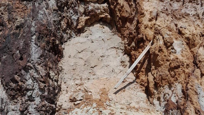 KPK Ungkit Tambang Emas Ilegal di Sekitar TN Komodo, ESDM: Ada Bukaan Lahan